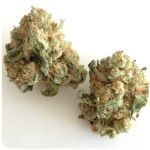 Шишки "White Widow"  (Белая вдова)  Гидропоника -  Бошка VHQ в Сарапуле