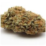 Шишки AK47 (Гидропоника, Бошка) VHQ в Сарапуле Шишки AK47 (Гидропоника, Бошка) VHQ в Сарапуле