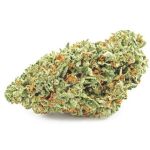 Шишки OG Kush (Гидропоника, бошки) VHQ в Сарапуле Шишки OG Kush (Гидропоника, бошки) VHQ в Сарапуле